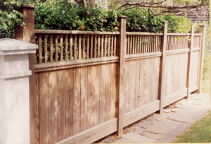 Fence 1